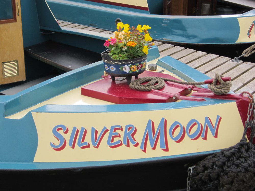 Silver Moon Flowers Included Silver Moon Flowers Included