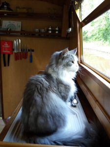 Pippa's purrfect Cheshire Cat Narrowboat Holiday